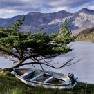 A boat